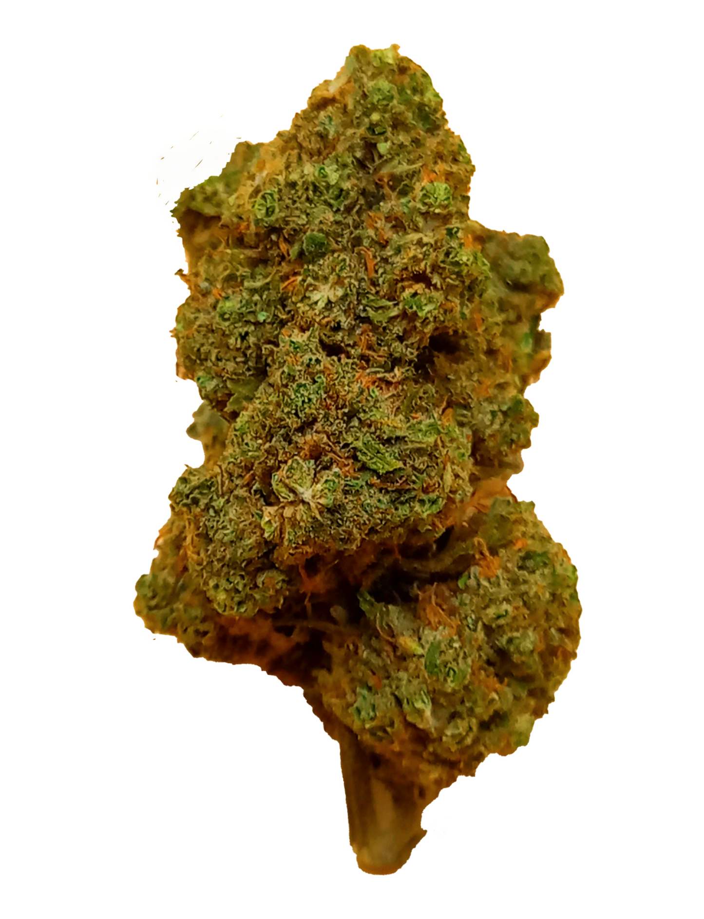 Amnésia 16% CBD- suisse