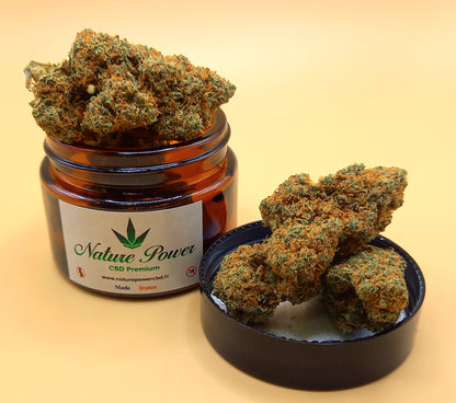 Candresse Berry 16% de CBD