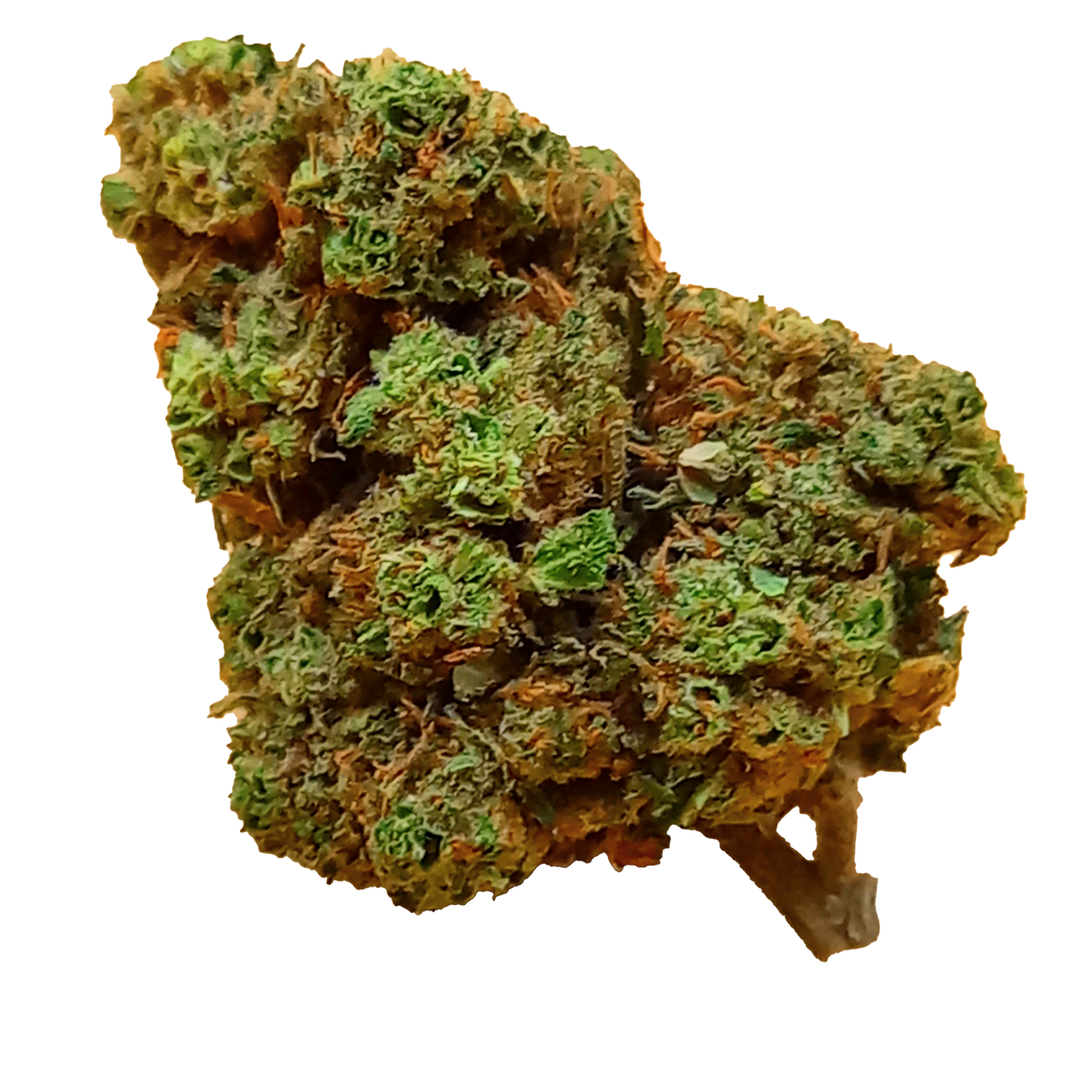 Amnésia 16% CBD- suisse