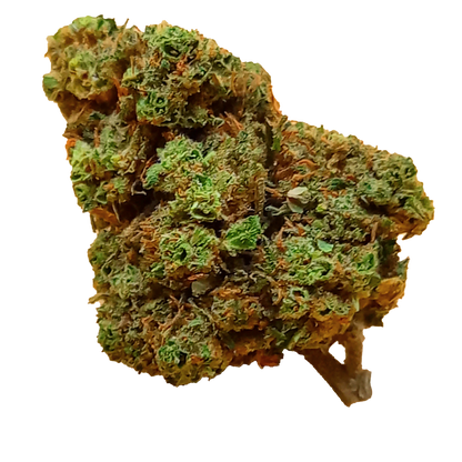 Amnésia 16% CBD- suisse