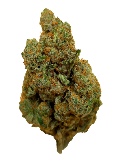 Découvrez la White Widow 16% CBD : Culture Indoor en Suisse, une Fleur d'Élite