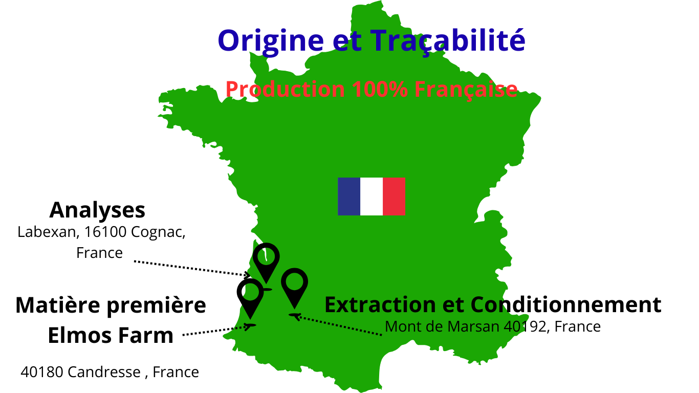Huile CBD Full Spectrum 10%