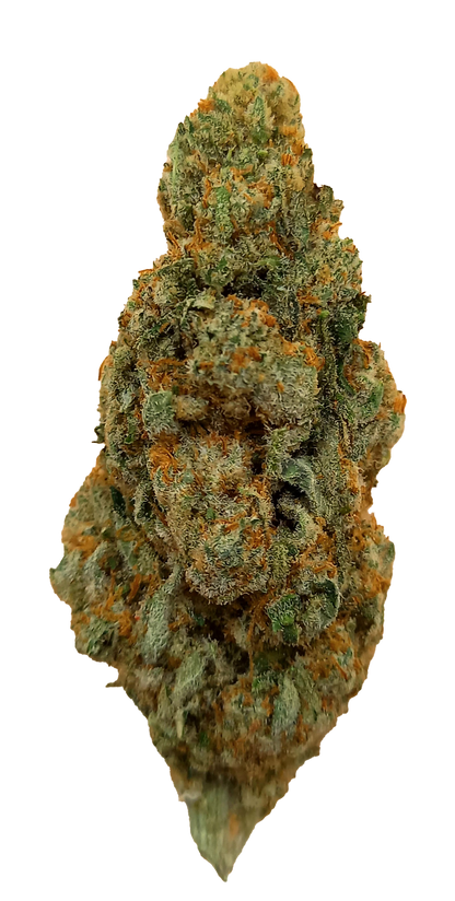 Découvrez la White Widow 16% CBD : Culture Indoor en Suisse, une Fleur d'Élite