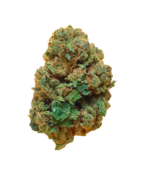 Cannatonic 14% CBD - Culture Indoor Suisse - Parfaite harmonie