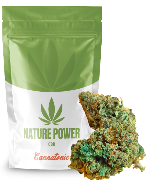 Cannatonic 14% CBD - Culture Indoor Suisse - Parfaite harmonie