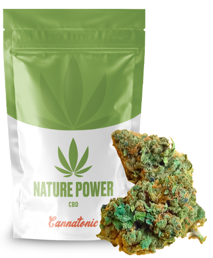 Cannatonic 14% CBD - Culture Indoor Suisse - Parfaite harmonie